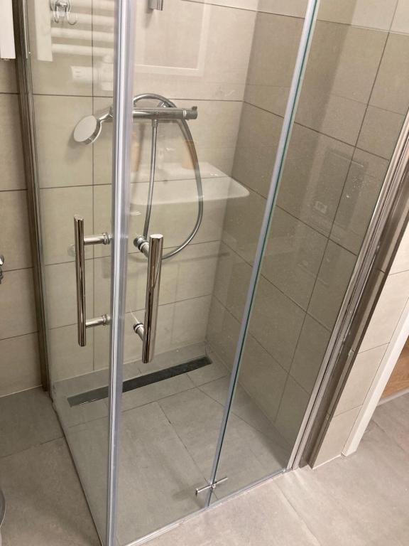 Dusche im Bad der Ferienwohnung Paul